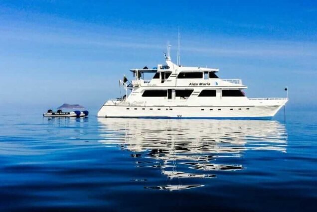 Aida María  -  6 Days