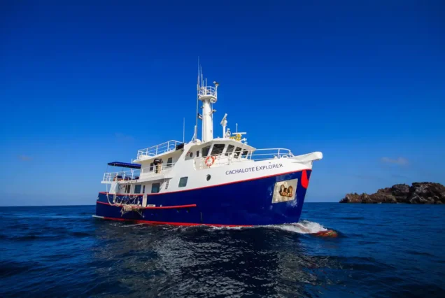 Cachalote Explorer - 6 Days