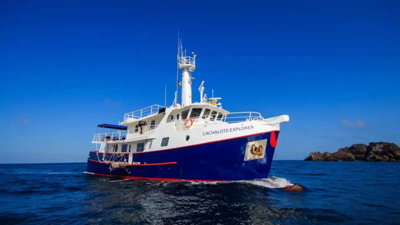 5-cachalote-exp