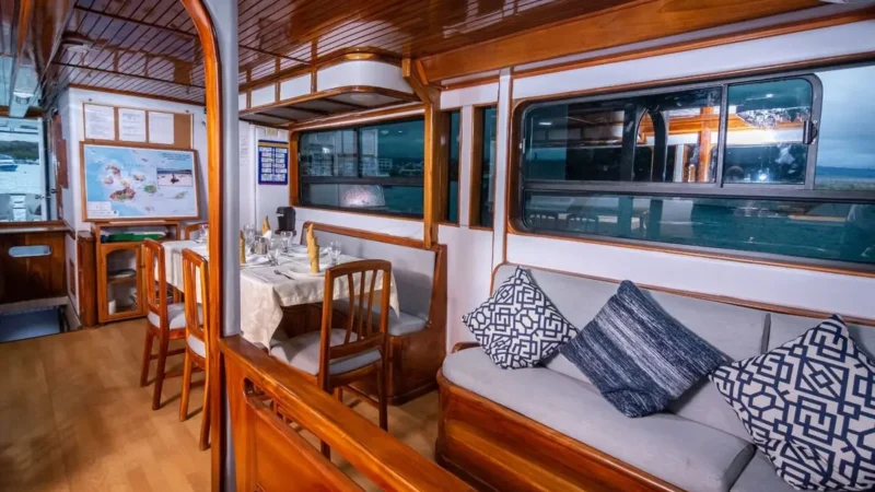 b66ec434-6950-4386-8141-e0d8d62d838b-aida-maria-salon-2