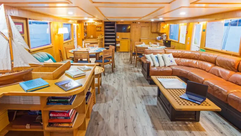 dining-living-room-1 cachalote