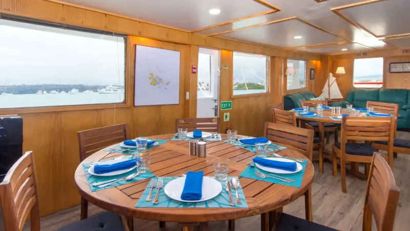 dining-living-room-8 cachalote