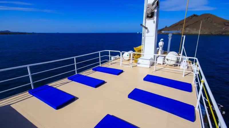 upper-deck-3 cachalote