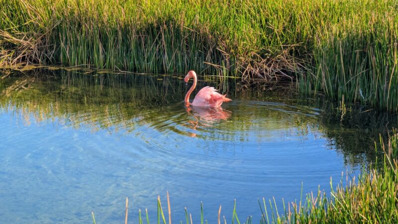 03bd6917-e2ad-494d-98d7-bec765b8a9a1