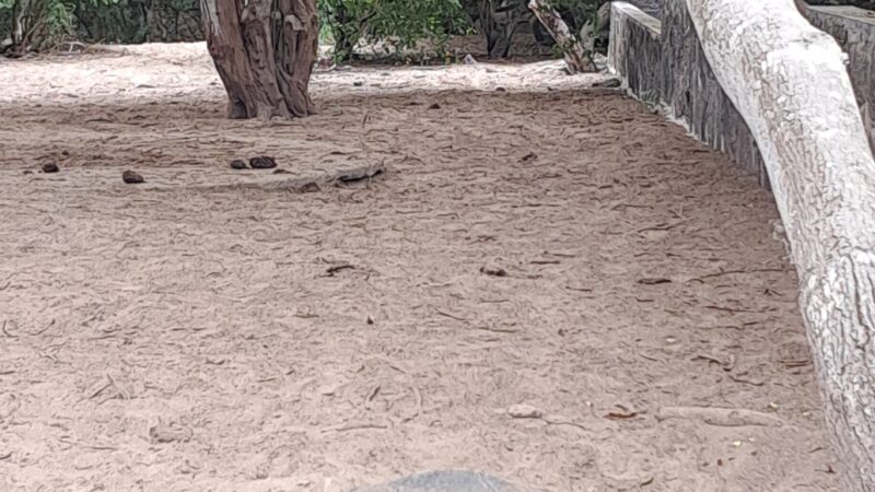 0d443cdc-3ba6-485b-82a8-b971df6608d1