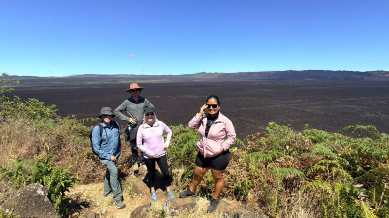 0f05399d-e3ba-407d-bdf7-4cce49c1ce21