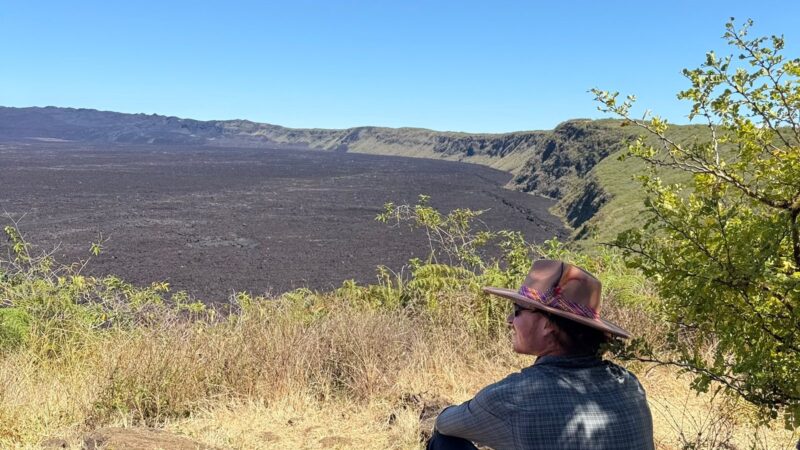 23f8e7bd-0ac9-4ffe-974e-55cbd320f7eb