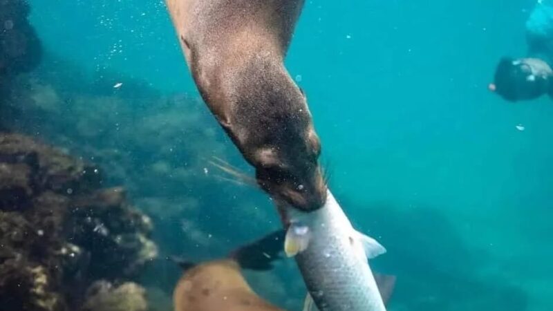 2ff8319b-2928-4a16-bc07-f3f3cdc9f7a8