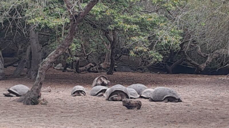 30a1d50a-ea5c-4e08-a278-dcfcf12ef06d