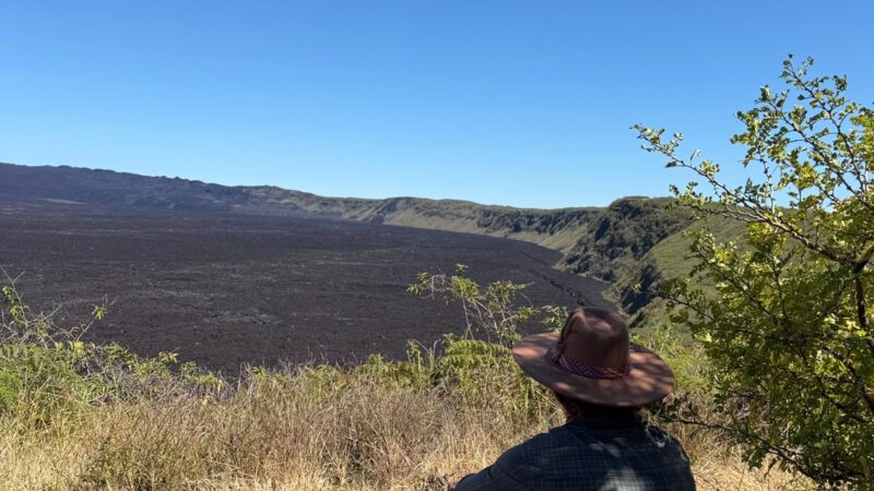 3a49bba3-2a2a-4f53-be13-23d44b3bee14