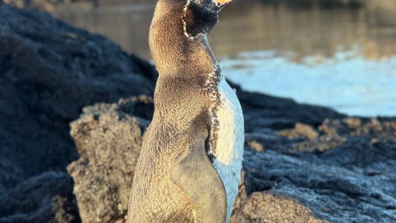 3b845161-3414-4f87-b522-35c98e38955f