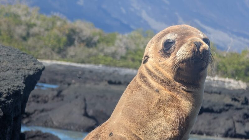 3d422fe4-4ef7-48b7-994d-09d657e640c4