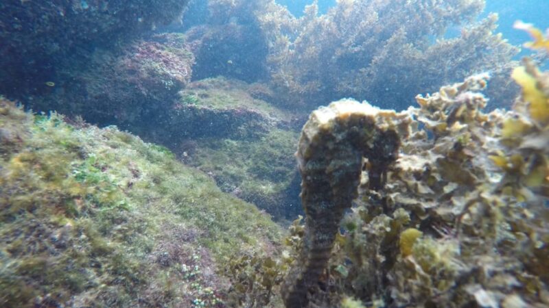 437ff603-aaac-498d-ae69-e88dbad219d5