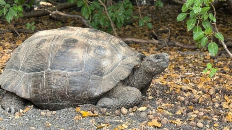 58ebf488-981d-4884-af49-e75ba8b7f1fa