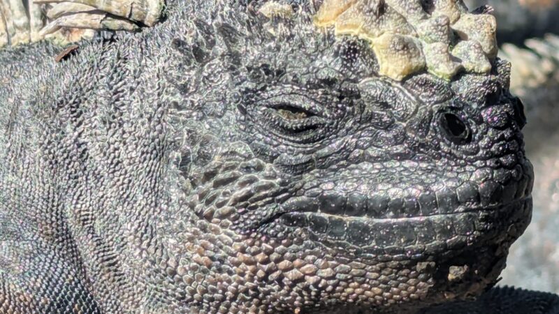 5b29d094-e670-435f-8331-2087e08affa7