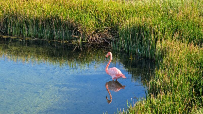 6b9820a3-db29-429c-93f3-c4e7d0d5db7b