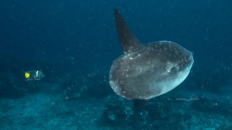 7de4c03a-aecd-47d7-b2f5-25f4f3ed6541