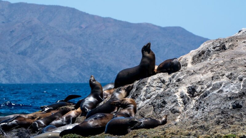 a8217479-92b0-4f6e-bd04-8dc731148b14