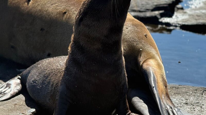 b671c139-f735-43c0-9998-e66c7d2eaeb5