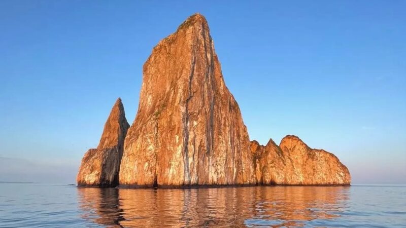 cc79caf8-558b-4dfc-93be-6dcbdee19e3d