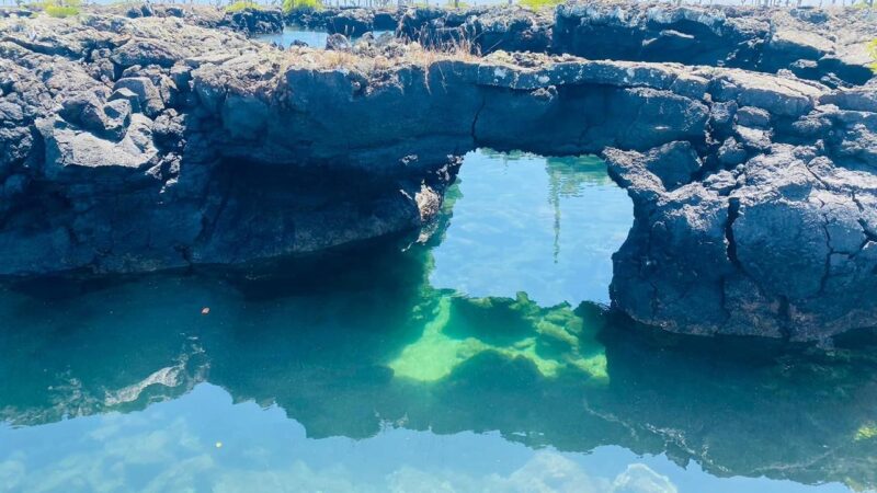 cffa7988-e71c-4816-99f6-d155ed2e6d55