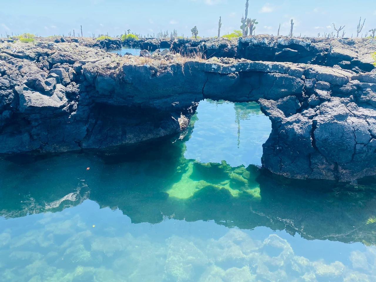 Los Tuneles lava formations and turquoise water on Isabela Island
