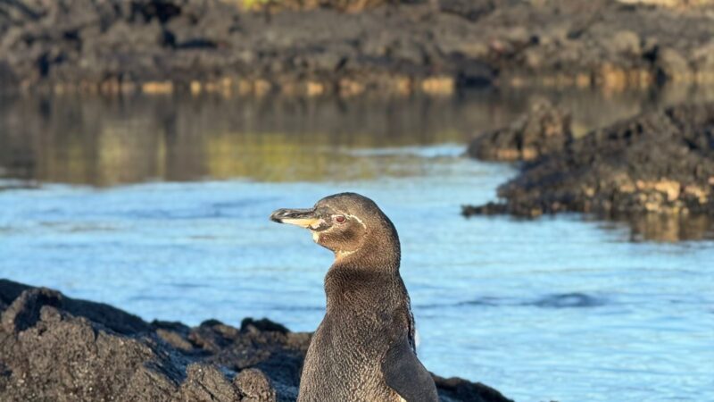 de845d08-6001-4acd-9a6d-61dc8ca5dd67