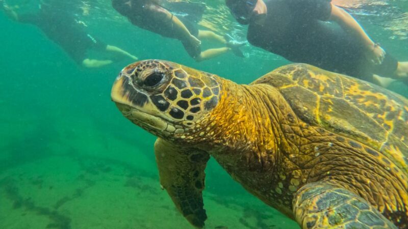 e6fb13c3-3776-4644-86f3-130a075b1571