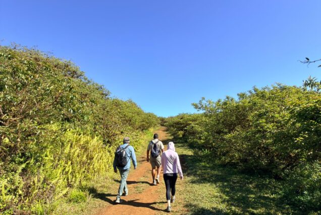 Sierra Negra Volcano