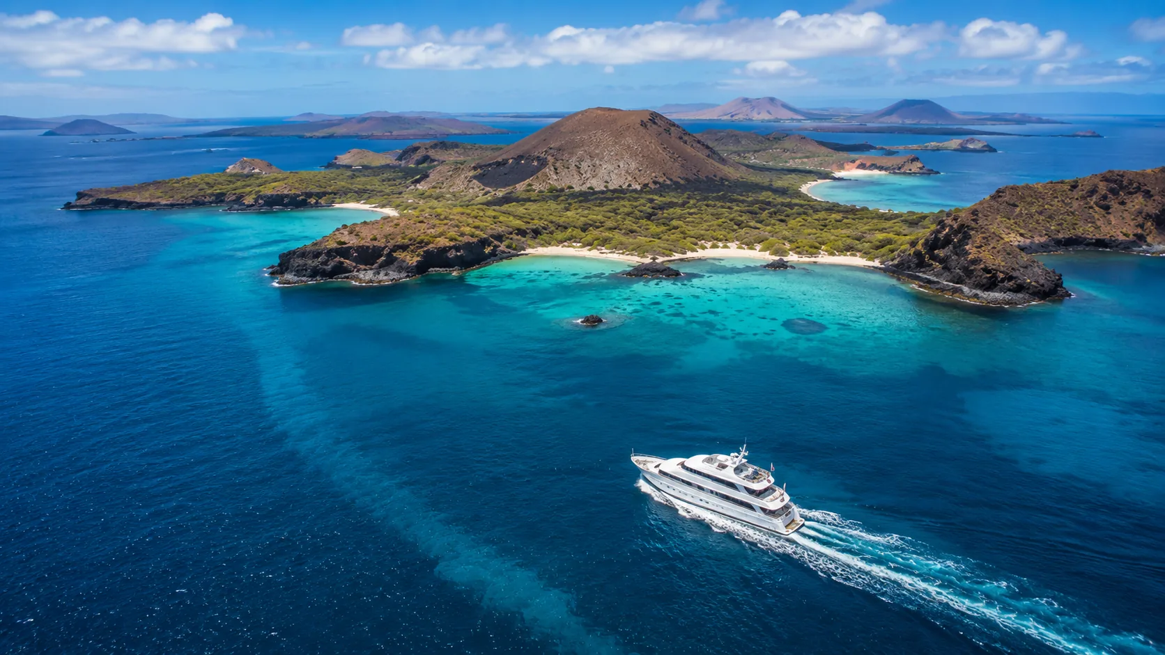 Marine iguana and protected volcanic landscape in the Galapagos Islands
