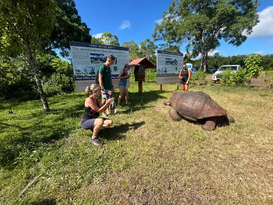 Travelers observing a giant Galapagos tortoise from a respectful distance