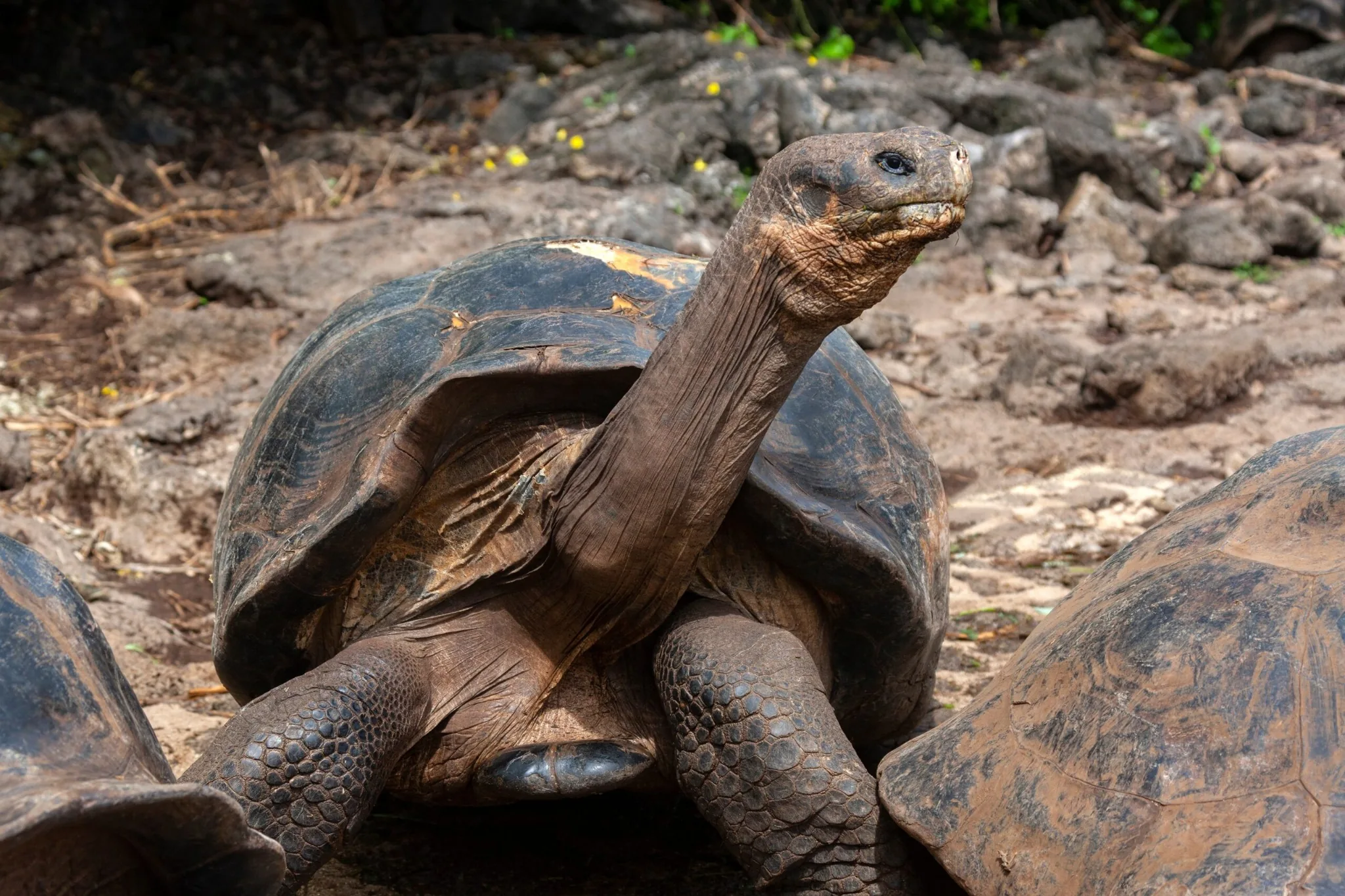 Families and friends in Galapagos