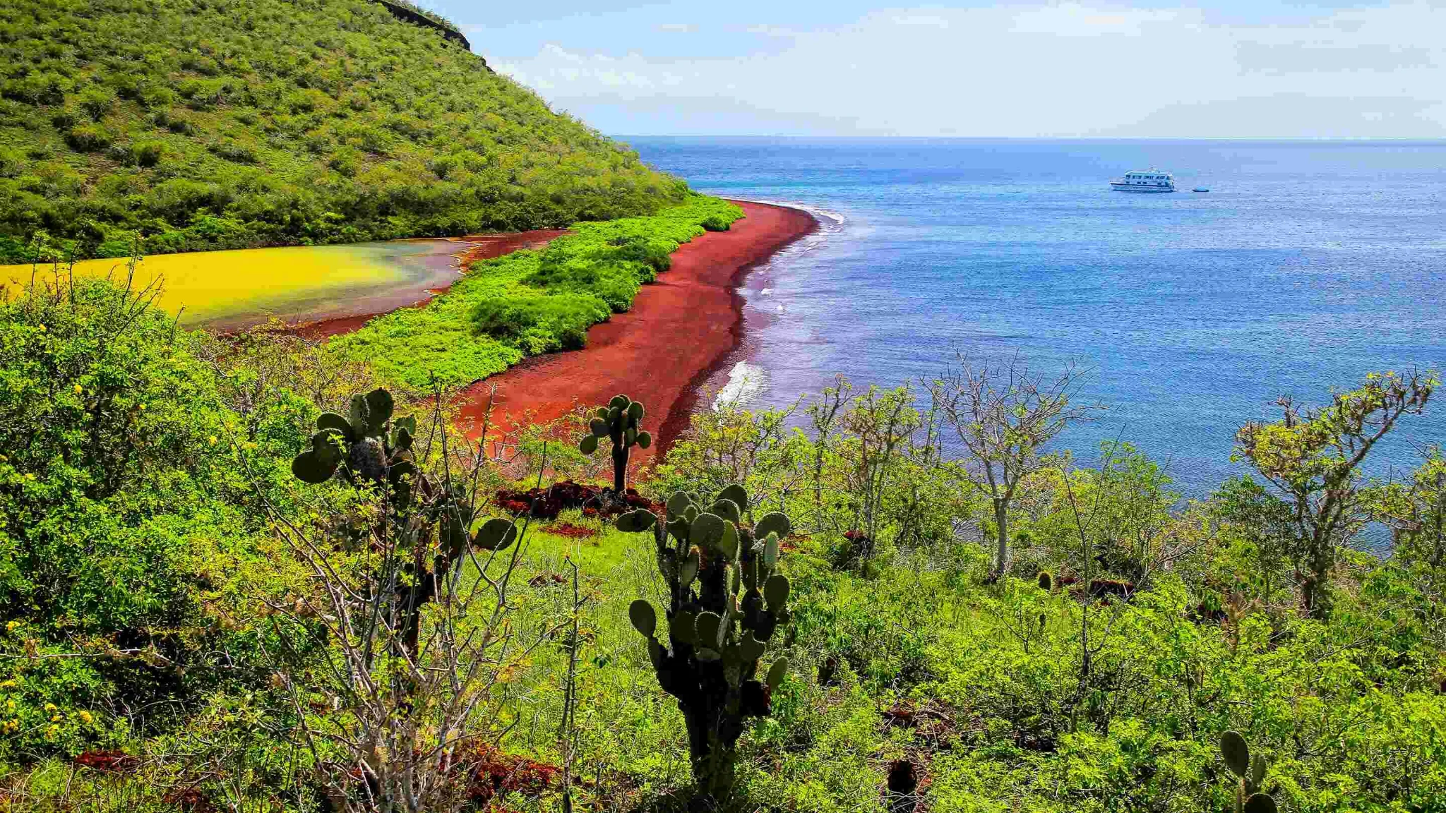 The distinctive red beach of Rábida Island