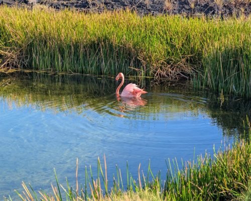 03bd6917-e2ad-494d-98d7-bec765b8a9a1