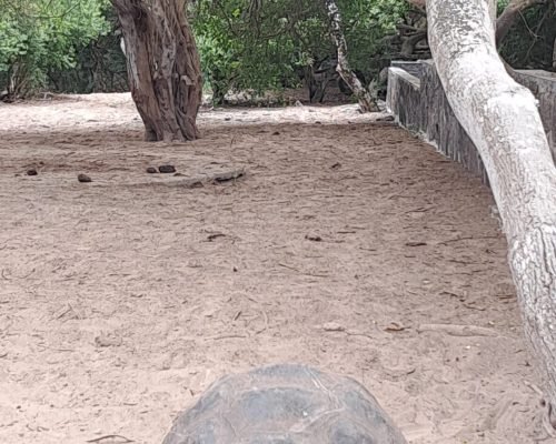 0d443cdc-3ba6-485b-82a8-b971df6608d1