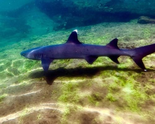 0e2ac36f-37b8-4c78-be88-37f9e7e7a9c0