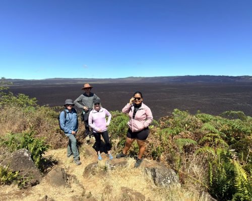 0f05399d-e3ba-407d-bdf7-4cce49c1ce21