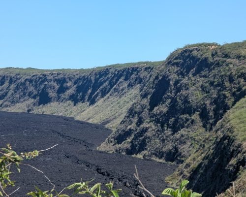 23f3e500-f315-4125-93a8-ef961c50e426