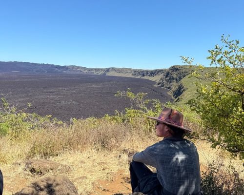 23f8e7bd-0ac9-4ffe-974e-55cbd320f7eb