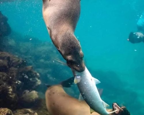 2ff8319b-2928-4a16-bc07-f3f3cdc9f7a8