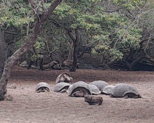 30a1d50a-ea5c-4e08-a278-dcfcf12ef06d