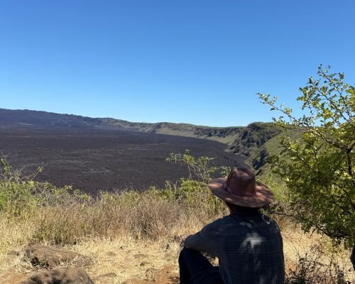 3a49bba3-2a2a-4f53-be13-23d44b3bee14