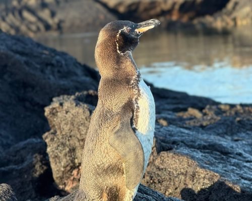 3b845161-3414-4f87-b522-35c98e38955f