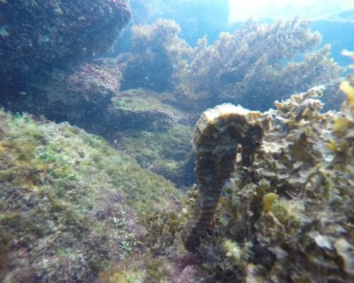 437ff603-aaac-498d-ae69-e88dbad219d5