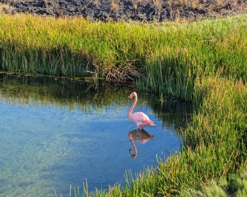 6b9820a3-db29-429c-93f3-c4e7d0d5db7b