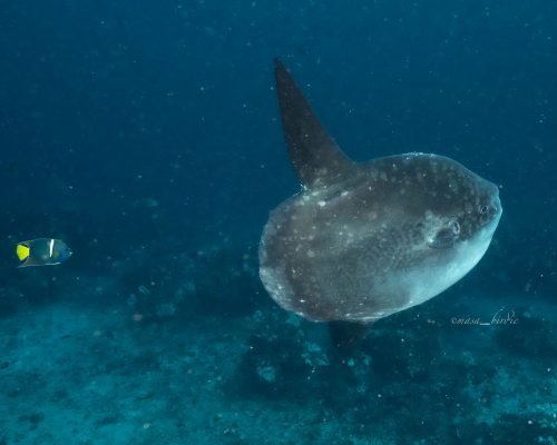 7de4c03a-aecd-47d7-b2f5-25f4f3ed6541