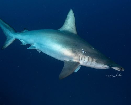 8ec4866c-cf09-4dec-a5fd-8ce474c73c48