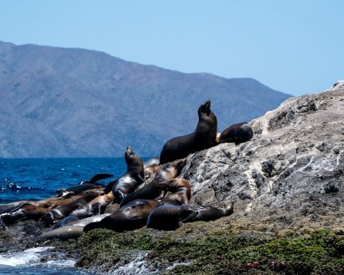 a8217479-92b0-4f6e-bd04-8dc731148b14