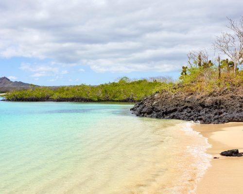Beach on a beautiful uninhabited island, Galapagos Islands, Ecuador.