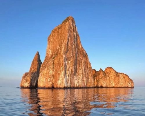 cc79caf8-558b-4dfc-93be-6dcbdee19e3d